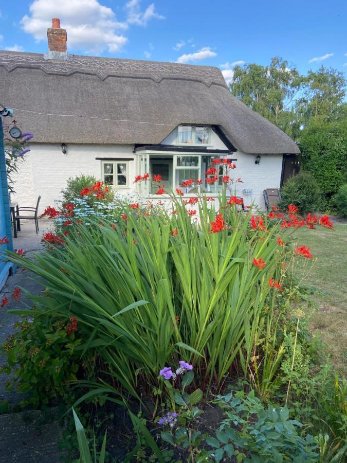 Thatch Cottage, East Boldre Nr Beaulieu And Lymington 布罗肯赫斯特 外观 照片